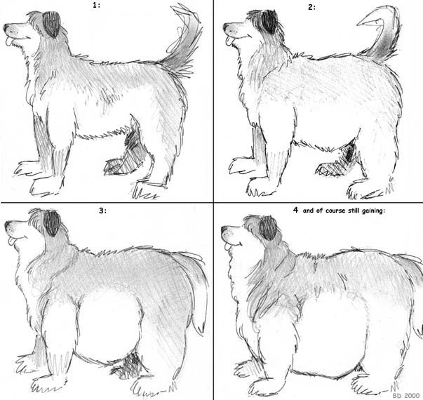 ambiguous_gender bd belly big_belly canine dog english_text feral fur greyscale mammal monochrome nude obese overweight pencil_(artwork) sequence signature slightly_chubby smile solo text tongue tongue_out traditional_media_(artwork) weight_gain