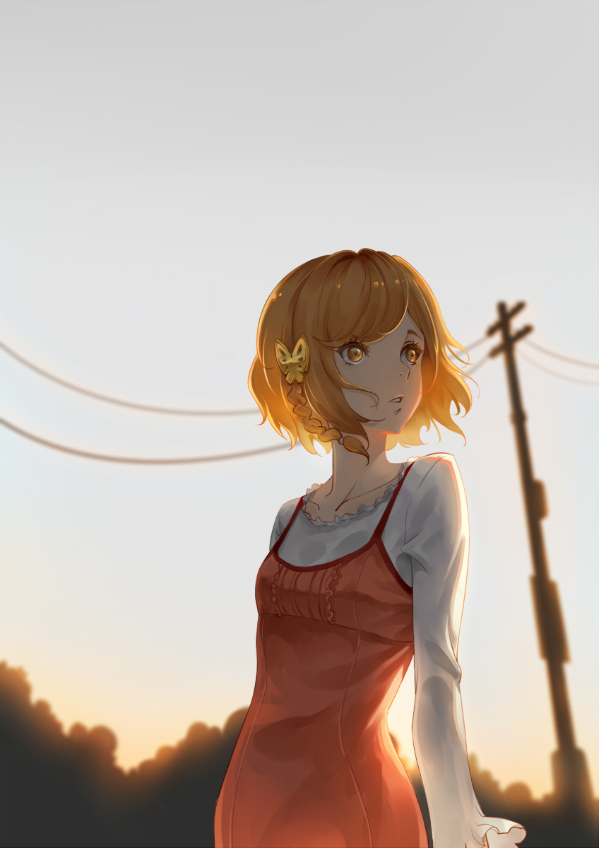 akagi_mako arms_at_sides ballroom_e_youkoso braid brown_eyes brown_hair butterfly_hair_ornament dress grey_sky hair_ornament handesu highres looking_to_the_side outdoors power_lines red_dress short_hair solo standing twilight