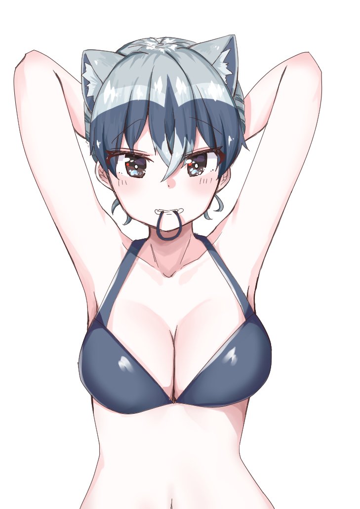 animal_ear_fluff animal_ears aotan_(aorin114) arms_behind_head black_bra black_hair blush bra breasts cleavage commentary_request common_raccoon_(kemono_friends) extra_ears eyebrows_visible_through_hair grey_hair hair_between_eyes hair_tie hair_tie_in_mouth kemono_friends looking_at_viewer mouth_hold multicolored_hair navel raccoon_ears simple_background solo tying_hair underwear upper_body white_background
