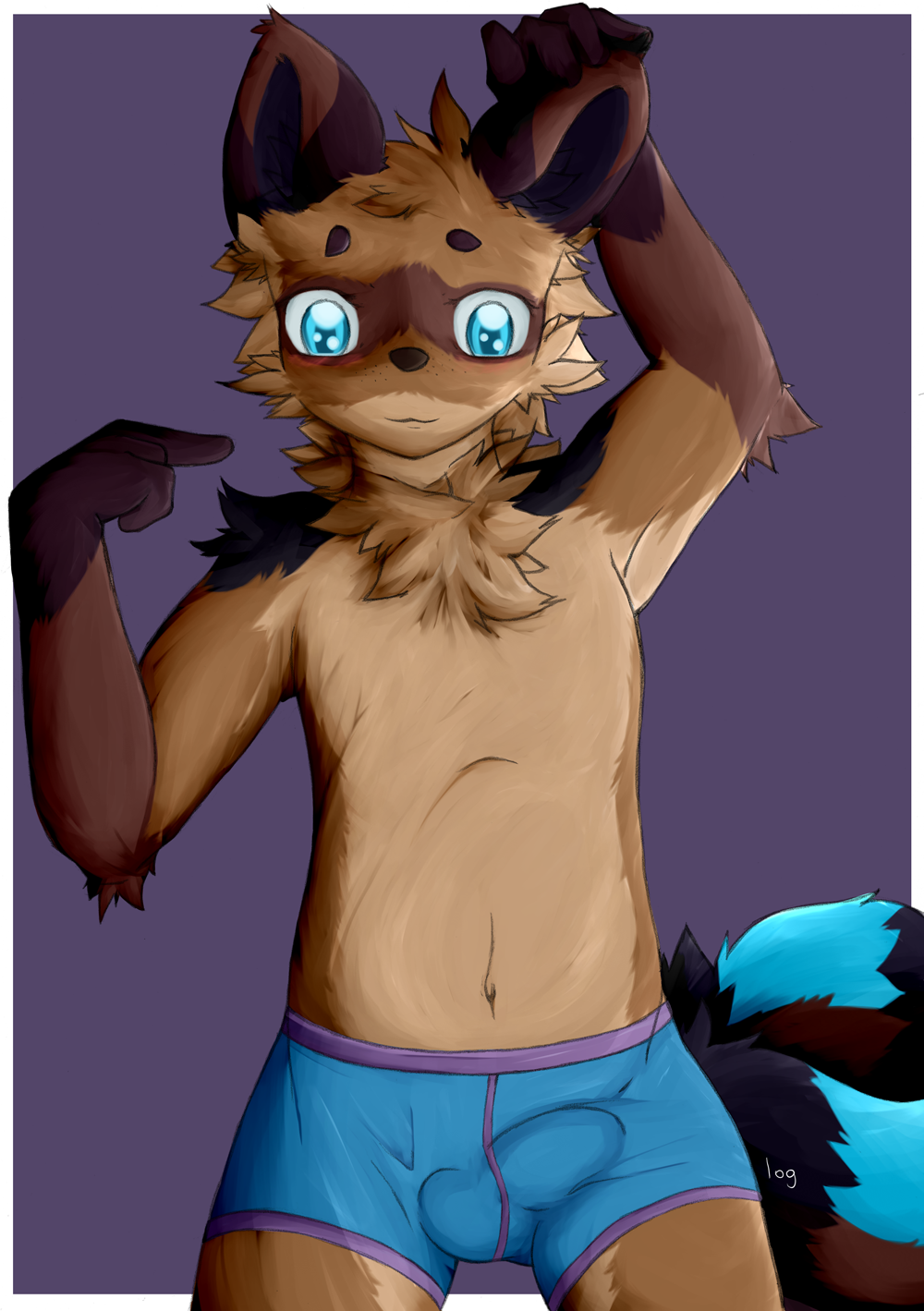 2016 2_tails anthro big_eyes biped black_fur blue_eyes blue_fur blush border brown_fur brown_nose bulge canine cheek_tuft chest_tuft clothed clothing erection erection_under_clothes fox fur fur_markings gloves_(marking) hybrid kokkuri_(tanuki) log_(artist) male mammal markings multi_tail multicolored_fur multicolored_tail navel pointing pointing_at_self purple_background signature simple_background solo tan_fur tanuki topless tuft underwear white_border