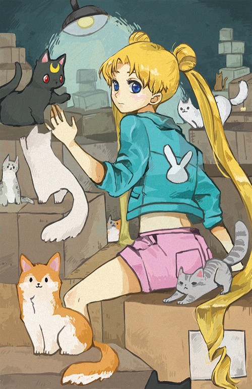 animal_print aqua_jacket bangs bishoujo_senshi_sailor_moon black_cat blonde_hair blue_eyes box box_stack brown_cat bunny_print bunny_symbol cardboard_box cat closed_mouth commentary crescent cropped_jacket double_bun english_commentary from_behind grey_cat indoors jacket lamp light long_hair long_sleeves looking_at_viewer looking_back luna_(sailor_moon) midriff multiple_cats orange_cat pink_shorts shorts sitting sleeves_pushed_up solo sooyun_choi stretch tsukino_usagi twintails very_long_hair white_cat