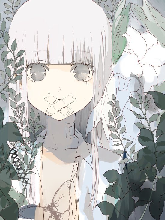 bad_id bad_twitter_id bandaged_neck bangs blunt_bangs bug butterfly collared_shirt commentary_request eyebrows_visible_through_hair flower grey_eyes insect leaf long_hair open_clothes open_shirt original shirt solo tape tlla upper_body white_flower white_hair wing_collar