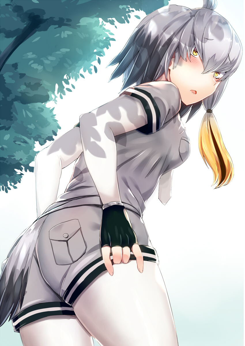 adjusting_shorts ass bangs bird_tail black_gloves black_hair blush bodystocking breast_pocket commentary_request dappled_sunlight day embarrassed eyebrows_visible_through_hair fingerless_gloves from_behind gloves grey_hair grey_shirt grey_shorts hair_between_eyes highres kemono_friends long_hair long_sleeves looking_at_viewer looking_back low_ponytail multicolored_hair necktie open_mouth orange_hair outdoors pocket shade shinyashiki shirt shoebill_(kemono_friends) short_over_long_sleeves short_sleeves shorts side_ponytail sunlight tail tree tree_shade upper_body white_neckwear
