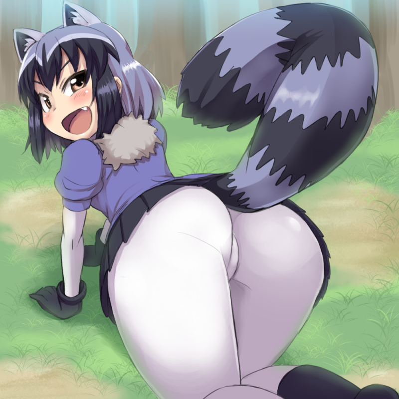 :d all_fours animal_ears arched_back ass bangs black_gloves black_hair black_skirt blue_sweater blush bodystocking brown_eyes commentary_request common_raccoon_(kemono_friends) day extra_ears fang foreshortening from_behind fur_collar gloves grass grey_hair impossible_clothes kemono_friends long_sleeves looking_at_viewer microskirt multicolored_hair open_mouth outdoors pleated_skirt puffy_short_sleeves puffy_sleeves raccoon_ears raccoon_tail short_hair short_over_long_sleeves short_sleeves skin_tight skirt smile solo striped_tail subarutu sweater tail