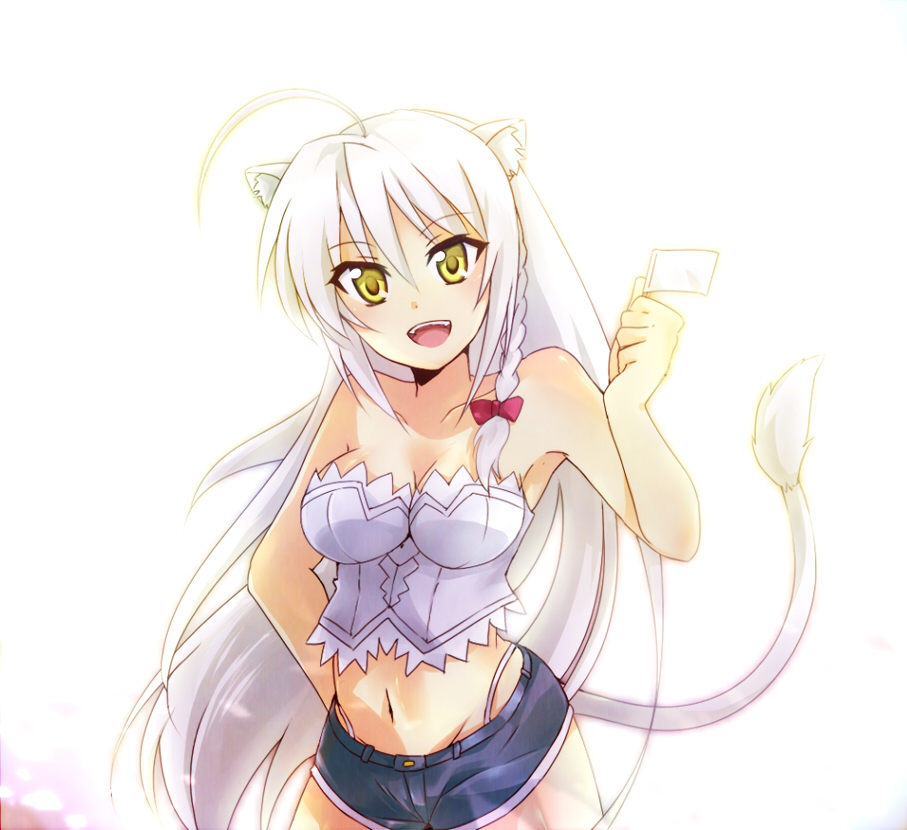 ahoge aka_tonbo_(lililil) animal_ears braid breasts bustier cat_ears cat_tail cleavage dog_days flag large_breasts leonmitchelli_galette_des_rois lingerie long_hair midriff navel open_mouth side_braid smile solo tail underwear white_flag white_hair yellow_eyes