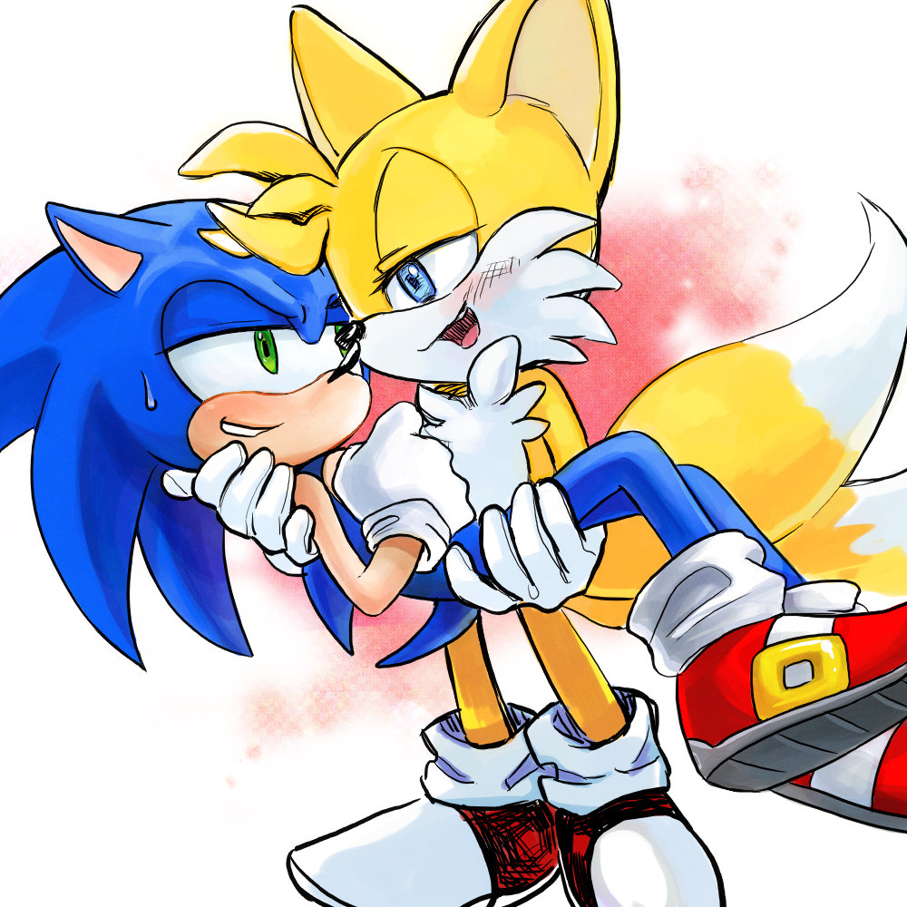 anthro blue_eyes canine clothing duo eye_contact fox gloves green_eyes hedgehog male mammal miles_prower nisibo25 sonic_(series) sonic_the_hedgehog video_games