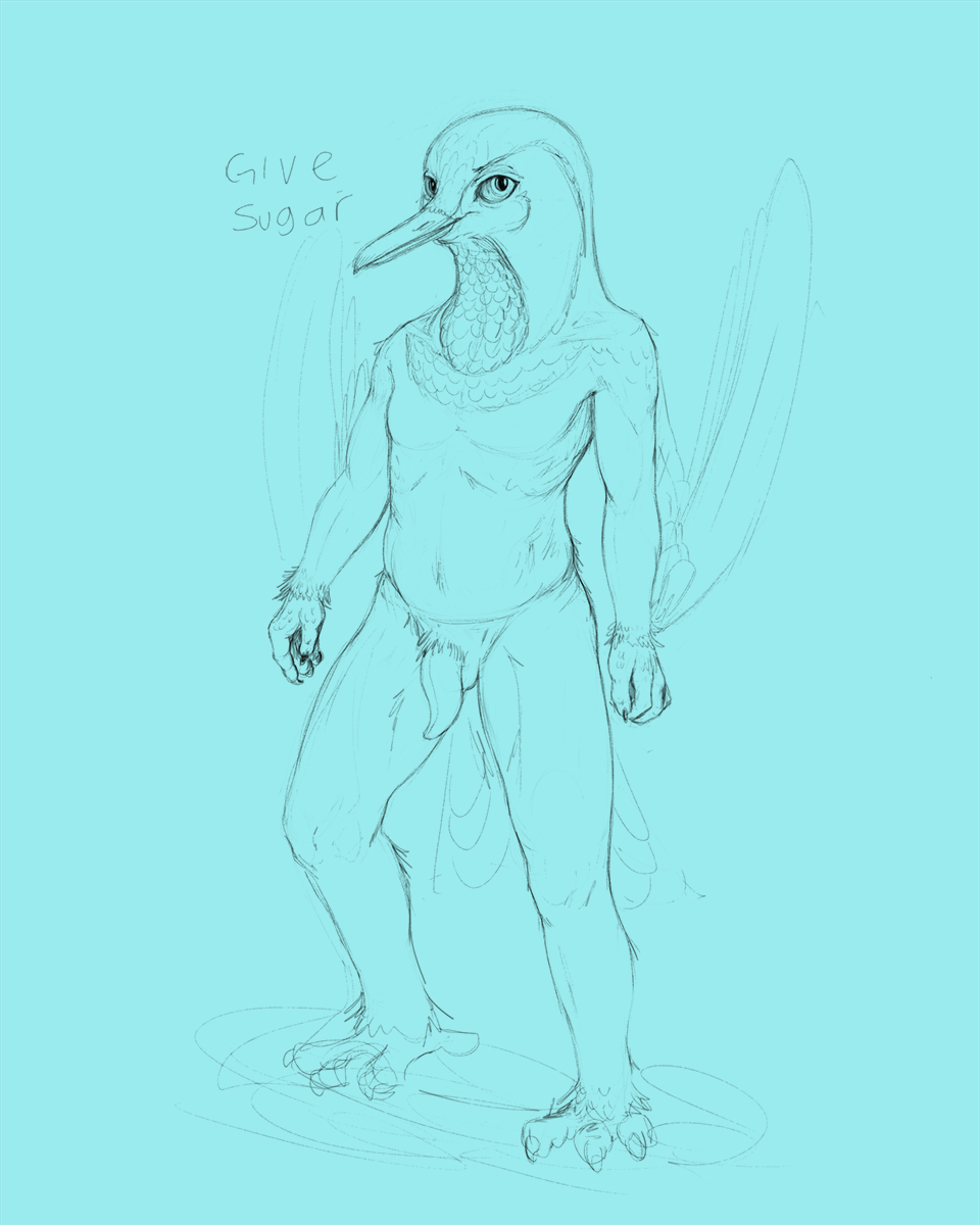 2018 avian beak bird blue_background dialogue hummingbird looking_at_viewer male nude nyar penis simple_background sketch solo talons tapering_penis winged_arms wings