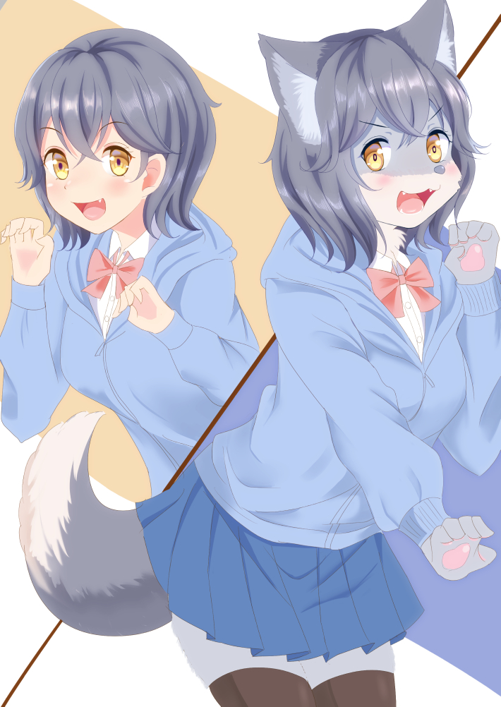 2018 5_fingers absolute_territory anthro before_and_after blush breasts canine clothed clothing eyebrows eyelashes fangs female grey_hair hair hoodie human human_to_anthro kemono looking_at_viewer mammal open_mouth roina school_uniform skirt solo standing transformation uniform wolf yellow_eyes