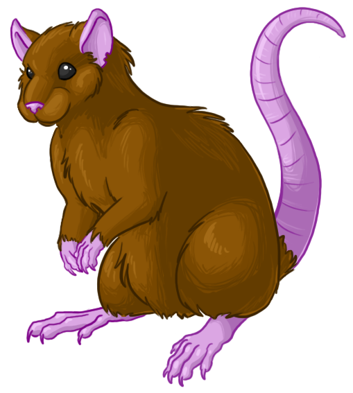 2010 amocin digital_media_(artwork) feral fur mammal rat rodent smile