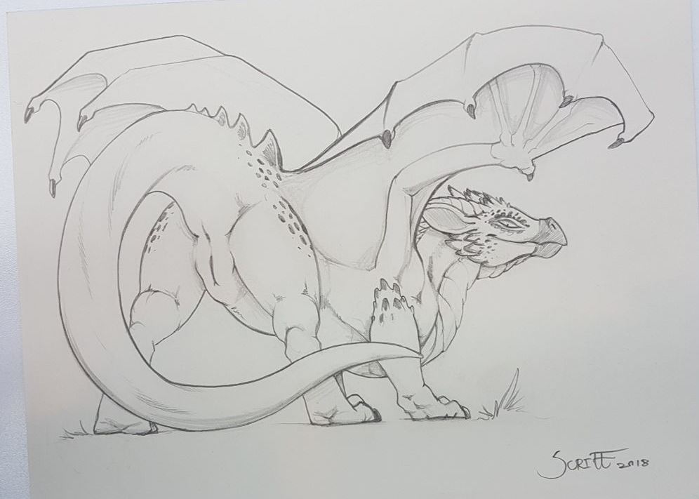 2018 anus butt claws dragon female feral greyscale looking_at_viewer monochrome paws pencil_(disambiguation) presenting presenting_hindquarters pussy raised_tail scalie scritt simple_background sketch slit solo spikes spreading traditional_media_(artwork) white_background wings
