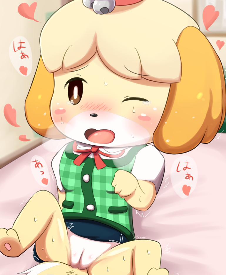 &lt;3 animal_crossing barefoot bell blonde_hair blush blush_stickers breath brown_eyes canine clothing dog eyebrows_visible_through_hair female hair isabelle_(animal_crossing) japanese_text jingle_bell leaning leaning_back mammal nintendo no_underwear one_eye_closed open_mouth pussy ratipiko ribbons shaking shih_tzu shirt short_hair sitting skirt solo spread_legs spreading sweat tears text translation_request trembling uncensored upskirt vest video_games