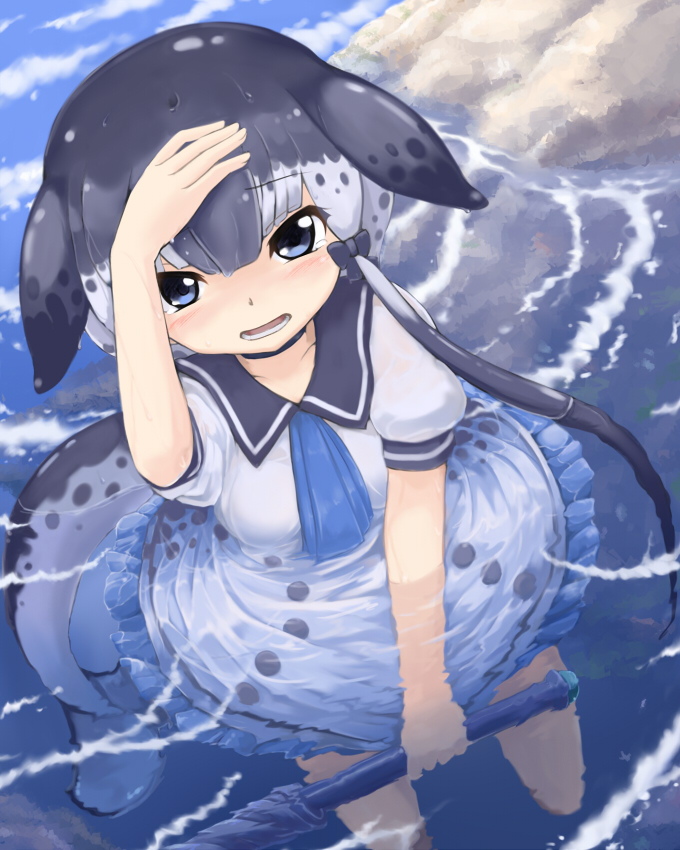 blowhole blue_eyes blush bow choker commentary_request dress eyebrows_visible_through_hair frilled_dress frills from_above grey_hair hair_bow hand_on_head hidarikata kemono_friends multicolored_hair narwhal_(kemono_friends) narwhal_tail neckerchief polearm puffy_short_sleeves puffy_sleeves sailor_dress short_hair short_sleeves solo spear weapon