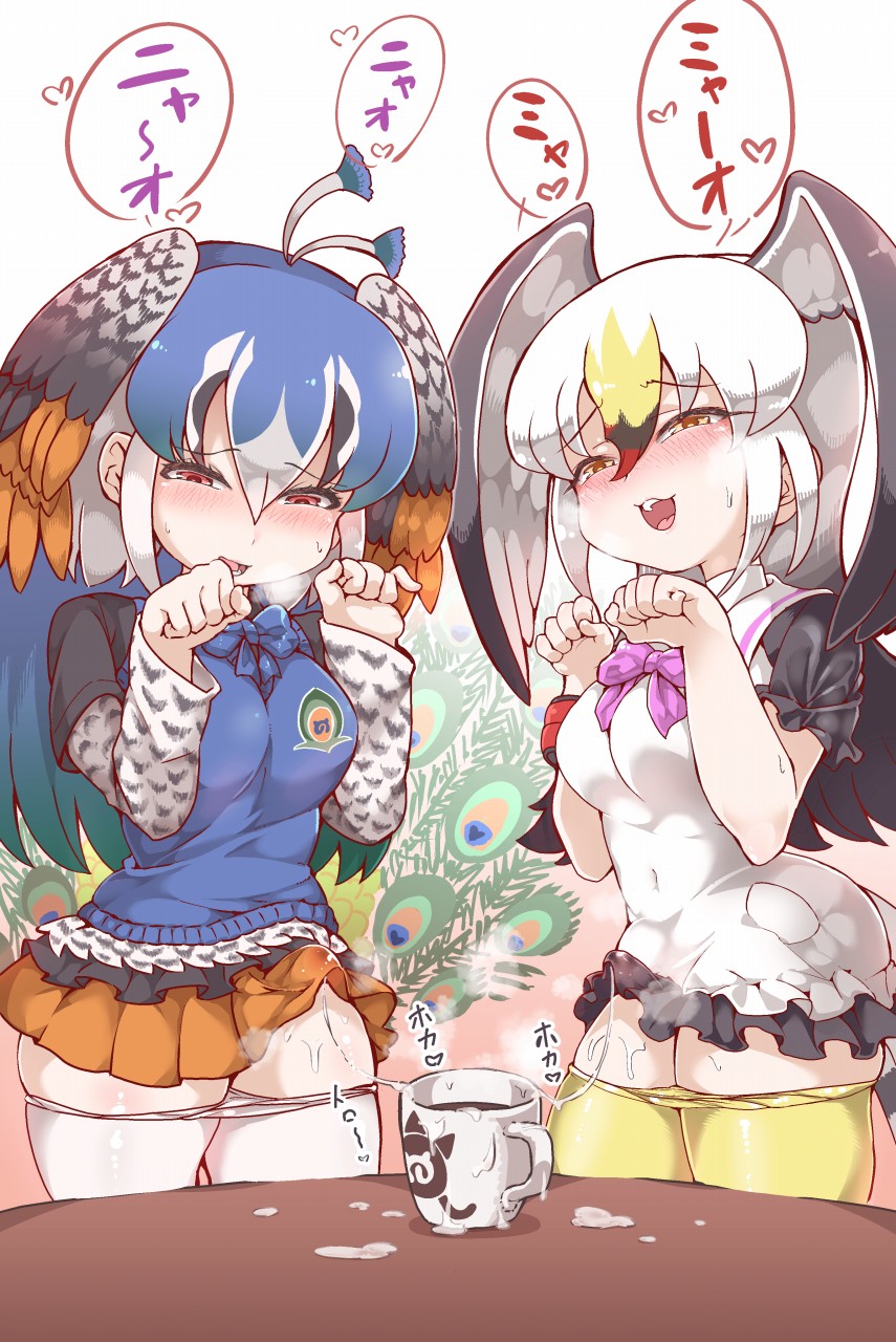 bird_tail bird_wings black-tailed_gull_(kemono_friends) black_hair blue_bow blue_hair blush bow bowtie breasts commentary_request cum cum_in_cup cup dress erection erection_under_clothes eyebrows_visible_through_hair frilled_dress frills futanari hair_between_eyes hands_up head_wings highres kemono_friends large_breasts lips long_hair long_sleeves looking_at_viewer multicolored_hair multiple_girls open_mouth panties panty_pull pantyhose pantyhose_pull paw_pose peacock_feathers peafowl_(kemono_friends) purple_bow red_eyes short_hair short_sleeves skirt smile standing table tail tanaka_kusao translated underwear upper_teeth white_hair white_legwear white_panties wings wristband yellow_eyes yellow_legwear