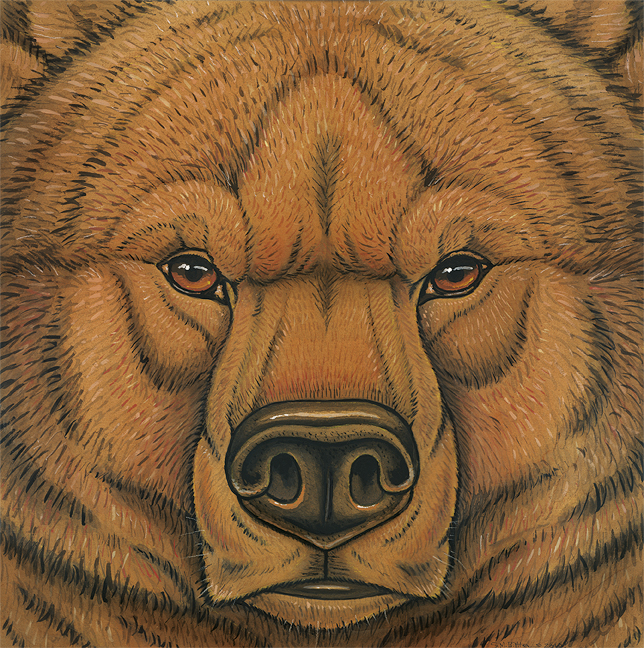 2010 ambiguous_form ambiguous_gender bear brown_eyes brown_fur brown_lips brown_nose cave_bear front_view frown fur gouache_(artwork) headshot_portrait icon lips looking_at_viewer mammal photorealism portrait signature snout solo synnabar traditional_media_(artwork) whiskers