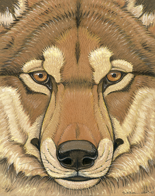 2010 ambiguous_form ambiguous_gender black_lips brown_eyes brown_fur canine countershade_face countershading dire_wolf eye_markings facial_markings front_view frown fur gouache_(artwork) headshot_portrait icon inner_ear_fluff lips looking_at_viewer mammal markings muzzle_(marking) muzzle_scabs photorealism portrait signature snout solo synnabar tan_countershading tan_markings traditional_media_(artwork) whiskers wolf