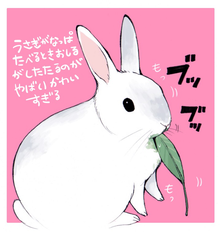 2015 ambiguous_gender ichthy0stega japanese_text lagomorph mammal rabbit simple_background solo text translation_request