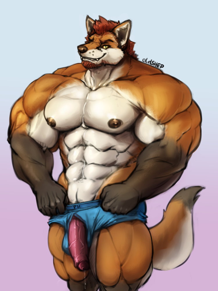 anthro beard big_penis briefs bulge canine clothing facial_hair flaccid fox humanoid_penis looking_at_viewer male mammal muscular muscular_male oldshep pecs penis penis_through_fly poking_out precum smile solo standing uncut underwear vein veiny_penis