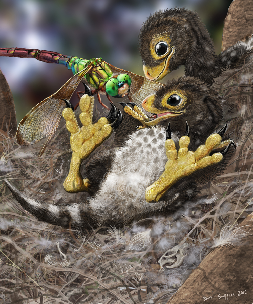 2012 3_fingers 4_toes abdomen ambiguous_gender arthropod balaur_bondoc biped black_claws blurred_background bone brown_eyes brown_feathers brown_spots brown_stripes brown_tail brown_wings claws compound_eyes cub cute digital_media_(artwork) digital_painting_(artwork) dinosaur dragonfly exoskeleton feathered_dinosaur feathered_wings feathers feral green_exoskeleton green_eyes group in_tree insect insect_wings iridescent looking_at_another looking_down loose_feather lying multicolored_exoskeleton multicolored_feathers nest on_back open_mouth open_smile pink_tongue psithyrus red_exoskeleton scalie sharp_teeth skull smile spots spotted_feathers striped_tail stripes talons teeth theropod toe_claws toes tongue tree two_tone_feathers two_tone_tail white_feathers white_spots white_tail winged_arms wings yellow_exoskeleton young