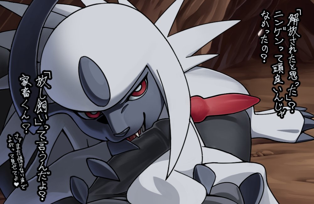 2018 absol ambiguous_gender animal_genitalia animal_penis anonymous black_nose canine claws detailed_background digital_media_(artwork) duo erection feral fur hi_res human humanoid_penis japanese_text katahane3 male male/male mammal multicolored_fur nintendo open_mouth outside penis pok&eacute;mon pok&eacute;mon_(species) red_eyes sex smile teeth text toe_claws toes tongue translation_request two_tone_fur video_games white_fur