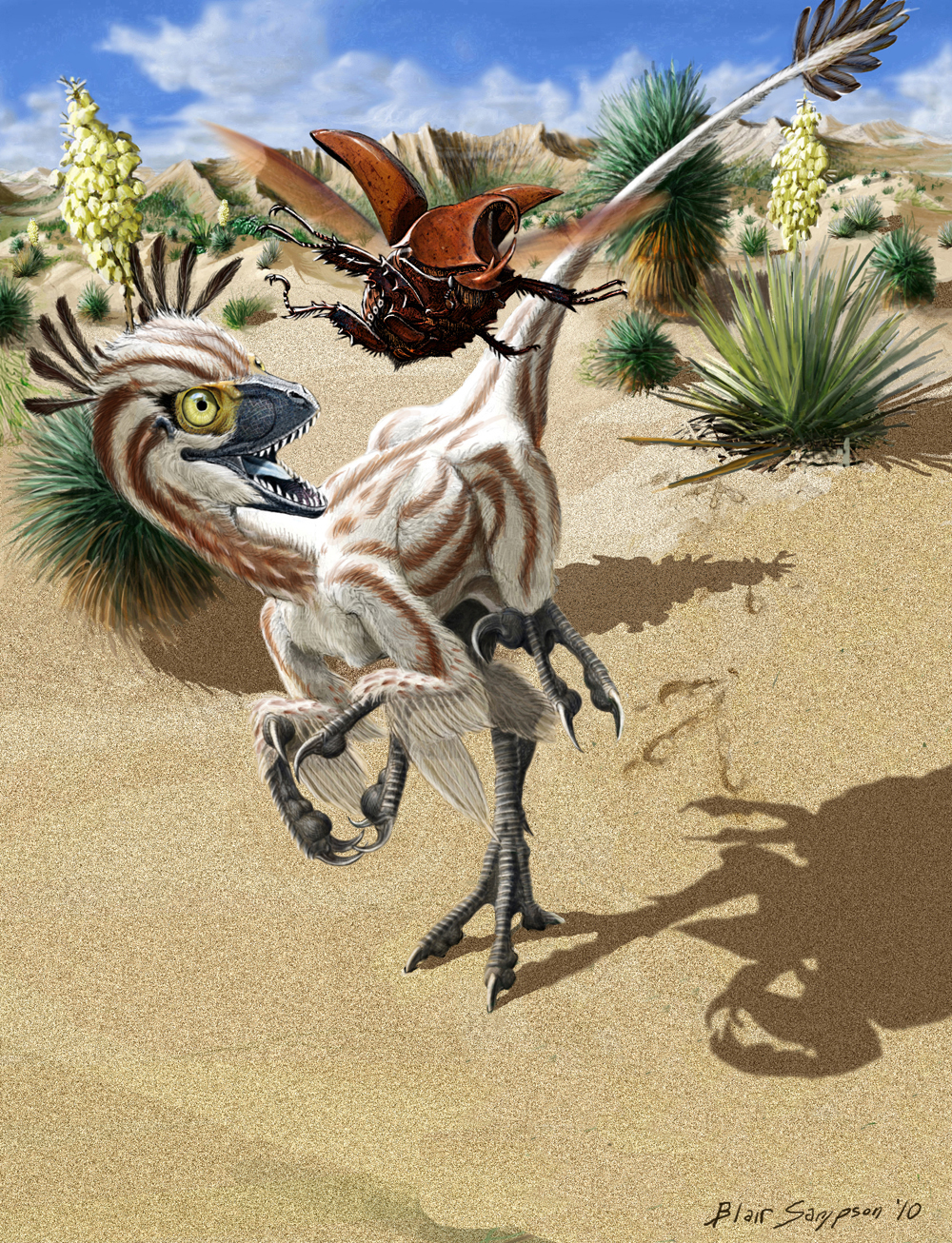2010 arthropod atrociraptor beak beetle biped bird_feet brown_exoskeleton brown_feathers chasing claws cliff cloud cub curious cute desert digital_media_(artwork) digital_painting_(artwork) dinosaur dromaeosaur duo exoskeleton feathered_dinosaur feathered_wings feathers feral flying footprint grey_beak grey_claws grey_tongue hi_res insect insect_wings lighting long_tail looking_at_another mandibles motion_blur multi_leg multi_limb multicolored_feathers open_beak open_mouth open_smile outside plant psithyrus raised_leg rhinoceros_beetle running shadow sharp_teeth shrub signature size_difference sky smile spread_wings stare tail_feathers talons teeth theropod toe_claws toothed_beak two_tone_feathers white_feathers wide_eyed winged_arms wings yellow_eyes young