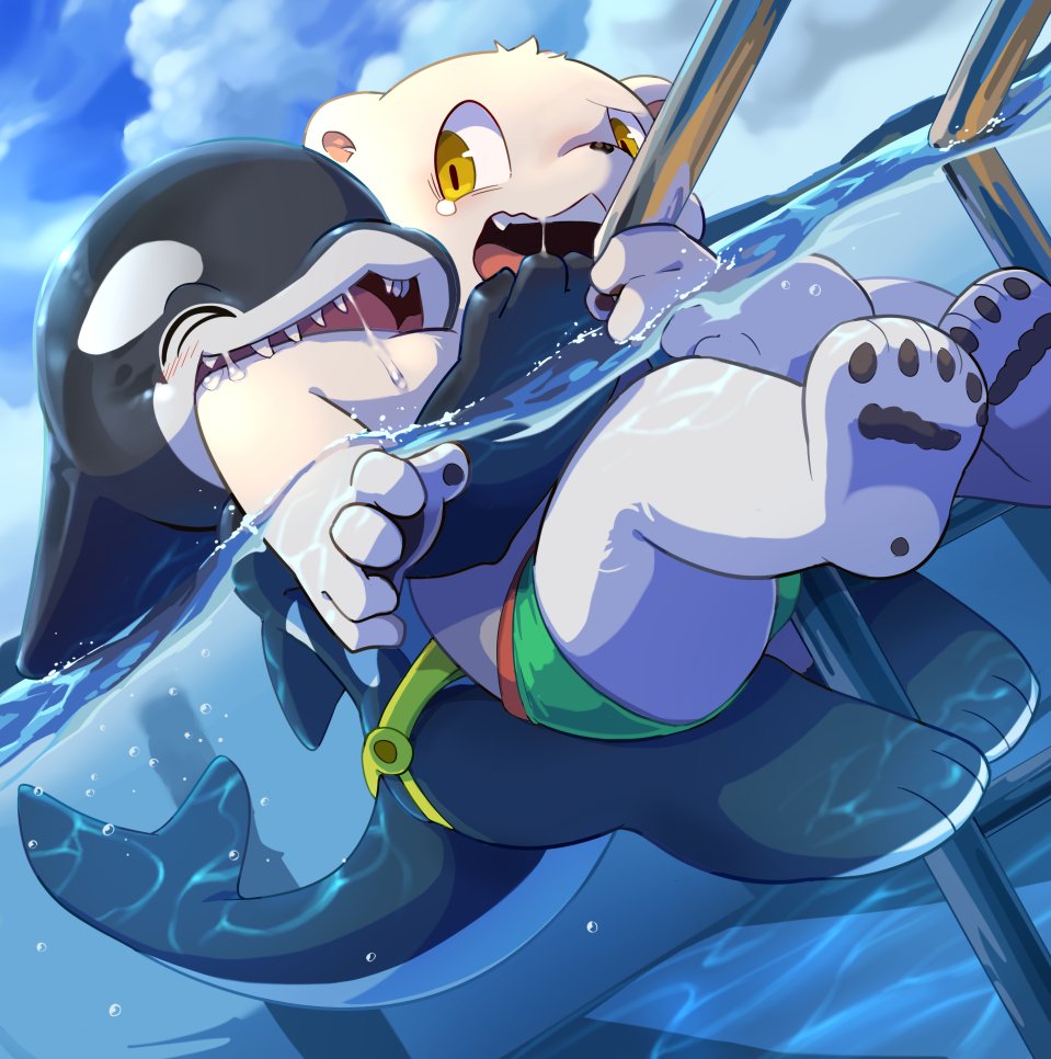 bear bite blush cetacean clothing cub hug mammal marine moketiw orca polar_bear surprise swimming_pool swimsuit whale young