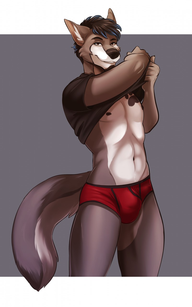 anthro black_hair black_nose briefs brown_eyes bulge canine clothed clothing digital_media_(artwork) eyebrows fur hair looking_at_viewer male mammal multicolored_fur navel nipples partially_clothed pinup pose salkitten shirt smile solo standing two_tone_fur underwear undressing