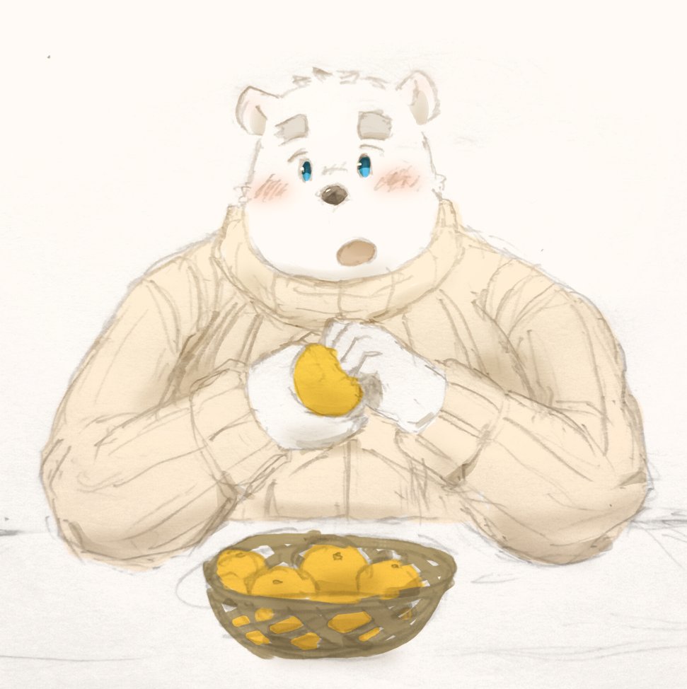 2018 anthro bear blush clothing food fruit humanoid_hands male mammal maron2475 overweight overweight_male polar_bear shirane_kan simple_background solo sweater utau