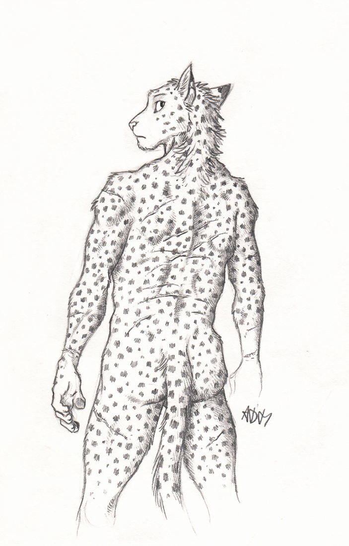 0laffson 2017 5_fingers anthro butt_pose cheetah feline fur male mammal nude scar simple_background sketch solo spots spotted_fur traditional_media_(artwork) white_background