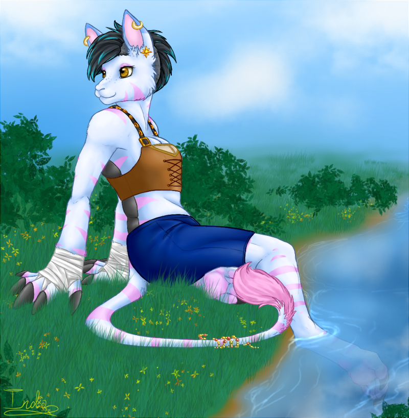 amber_eyes anthro black_hair bori breasts cheek_tuft claws cleavage clothed clothing ear_piercing female fur hair looking_back mammal midriff neopets outside partially_submerged piercing shorts sitting solo striped_fur stripes tail_tuft the13thblackcat tuft wraps wrist_wraps