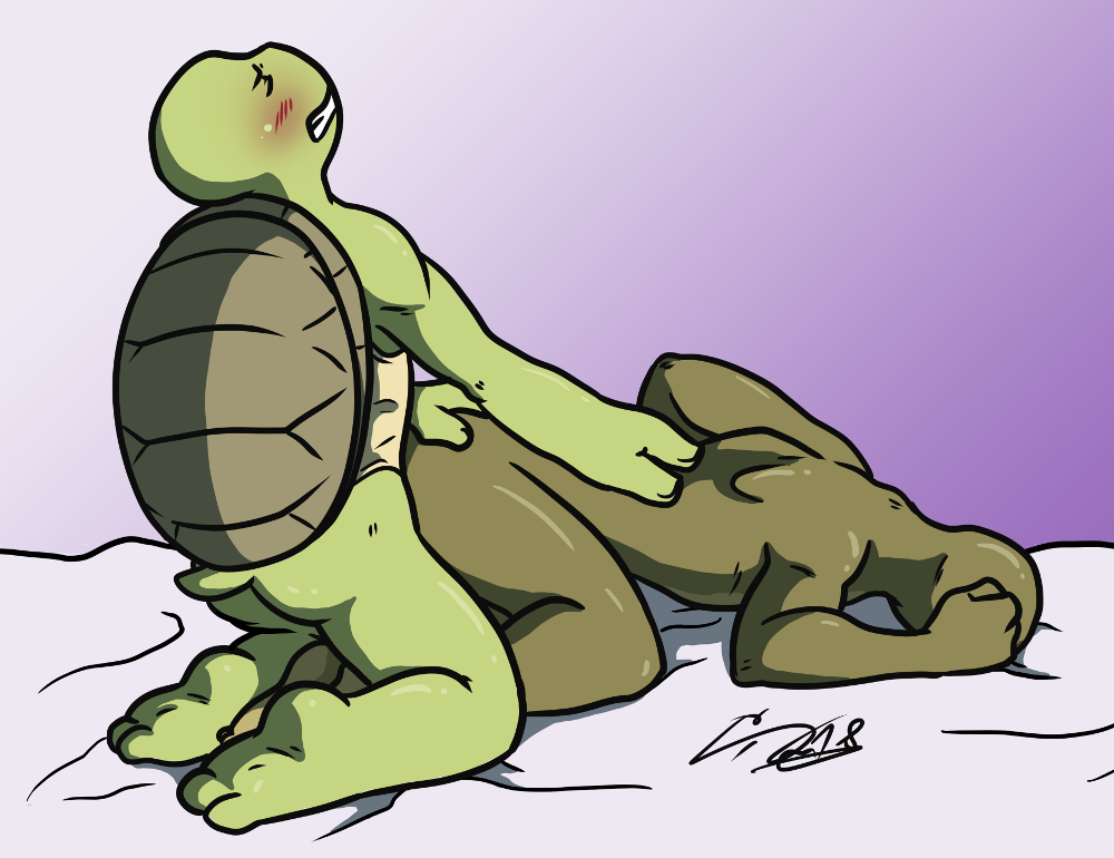 all_fours anal anal_penetration anthro butt clenched_teeth donatello_(tmnt) duo hamakei male male/male male_penetrating nude penetration reptile rockgaara scalie teenage_mutant_ninja_turtles teeth