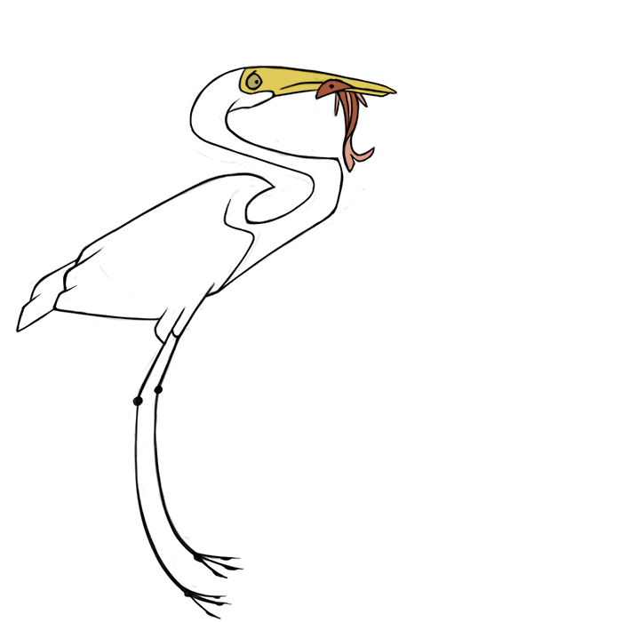 2014 ambiguous_gender avian beak biped bird bird_feet body_in_mouth digital_drawing_(artwork) digital_media_(artwork) duo egret feathered_wings feathers feral fin fish folded_wings frown full-length_portrait great_egret jamminbison long_legs long_neck marine oral_vore portrait predator/prey red_body side_view simple_background size_difference solo_focus standing tail_feathers tail_fin toony vore white_background white_feathers white_tail white_wings winged_arms wings yellow_beak yellow_eyes