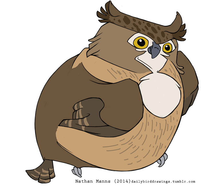 2014 3_toes ambiguous_gender avian beak biped bird blakiston's_fish_owl brown_feathers brown_spots brown_stripes brown_tail brown_wings cheek_tuft chest_markings chest_tuft digital_drawing_(artwork) digital_media_(artwork) facial_markings feather_tuft feathered_wings feathers feral fish_owl folded_wings full-length_portrait grey_beak horned_owl jamminbison markings mask_(marking) multicolored_feathers overweight overweight_ambiguous owl portrait simple_background smile solo spots spotted_feathers standing striped_feathers striped_tail striped_wings stripes tail_feathers tan_feathers toes toony tuft white_background white_feathers white_markings winged_arms wings yellow_eyes