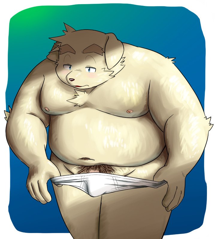 2018 anthro belly blush bulge canine clothing dog humanoid_hands itachi_guma male mammal moobs namihira_kousuke navel nipples overweight overweight_male penis pubes simple_background solo trouble_(series) underwear undressing