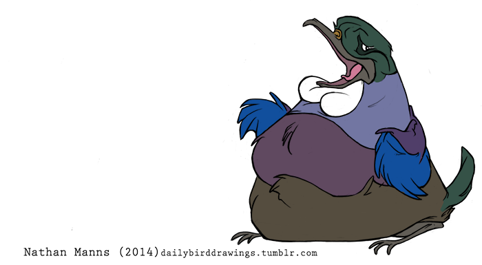 2015 3_toes ambiguous_gender avian beak belly big_belly biped bird black_eyes blue_feathers blue_wings brown_feathers cere_(feature) digital_drawing_(artwork) digital_media_(artwork) eye_markings facial_markings feathered_wings feathers feral frown full-length_portrait green_feathers green_tail grey_beak honeyeater jamminbison looking_aside markings multicolored_feathers open_beak open_frown open_mouth overweight overweight_ambiguous pink_tongue portrait purple_feathers purple_wings simple_background sitting solo tail_feathers toes tongue toony tui_(bird) two_tone_wings url wattle white_background winged_arms wings worried