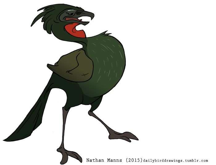 2015 2_toes ambiguous_gender avian beady_eyes beak biped bird bird_feet black_eyes claws cracid digital_drawing_(artwork) digital_media_(artwork) feathered_wings feathers featureless_crotch feral folded_wings frown full-length_portrait green_feathers green_tail grey_beak grey_feathers grey_wings guan jamminbison multicolored_feathers open_beak open_mouth pink_tongue portrait shadow simple_background solo spix's_guan standing tail_feathers talons toe_claws toes tongue toony two_tone_feathers unamused url wattle white_background winged_arms wings
