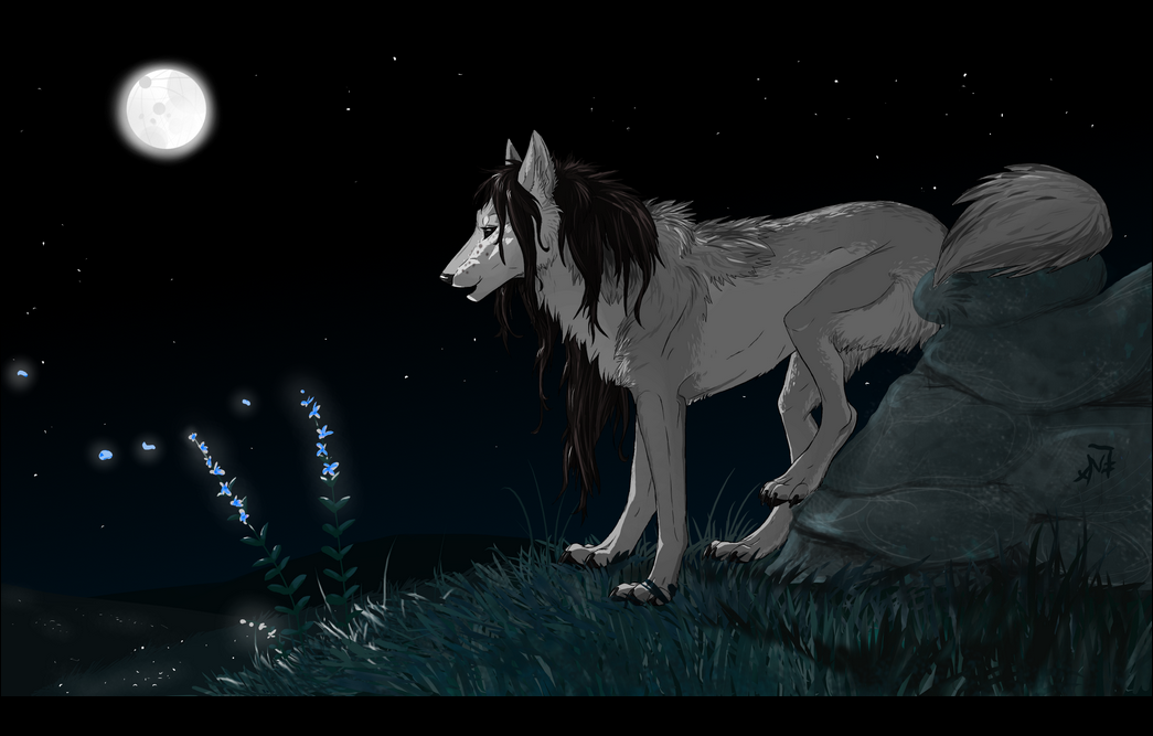 2010 black_bars black_nose canine detailed_background digital_media_(artwork) feral fur grass grey_fur mammal moon night oneminutesketch outside rock sky solo star starry_sky wolf