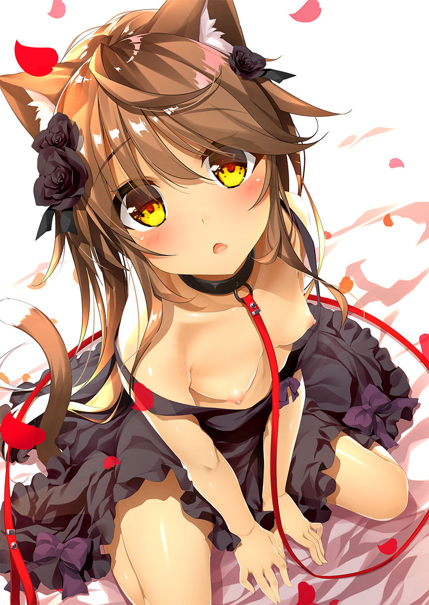 animal_ears bangs black_collar black_dress black_flower black_rose blush breasts brown_hair cat_ears cat_tail commentary_request dark_skin dress flower from_above hair_flower hair_ornament highres leash long_hair looking_at_viewer nipples no_bra off_shoulder original parted_lips petals rose rose_petals shiny shiny_hair simple_background sitting small_breasts solo tail v_arms white_background yanagi_yuu yellow_eyes