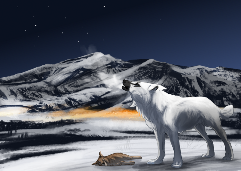 2015 black_lips black_nose canine detailed_background digital_media_(artwork) duo feral fur mammal night oneminutesketch outside sky star starry_sky white_fur wolf