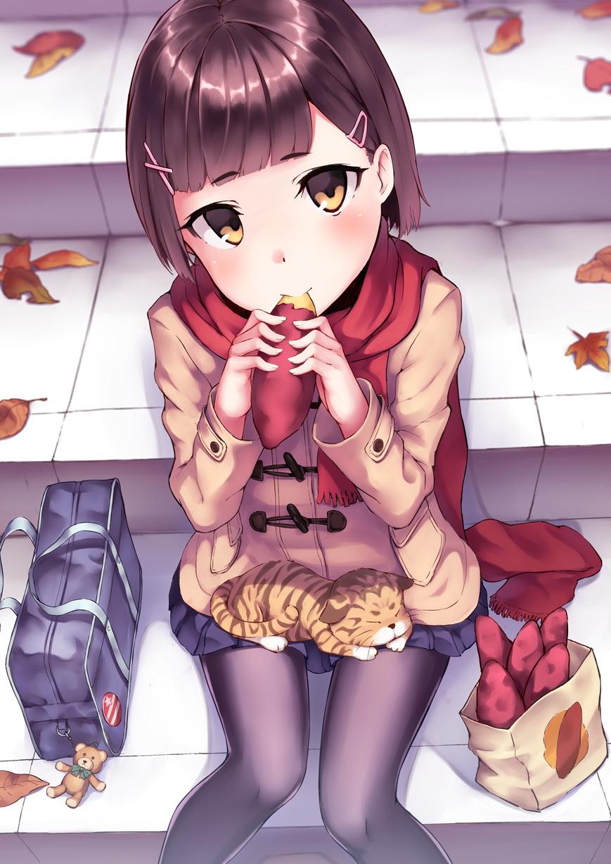 animal animal_on_lap autumn_leaves bag bag_charm black_legwear blue_skirt brown_eyes brown_hair brown_jacket cat charm_(object) closed_mouth commentary_request eating fingernails food fringe_trim hair_ornament hairclip head_tilt highres holding holding_food jacket long_sleeves original pantyhose paper_bag pleated_skirt red_scarf ryuinu scarf school_bag sitting sitting_on_stairs skirt solo stairs stone_stairs stuffed_animal stuffed_toy sweet_potato teddy_bear yakiimo