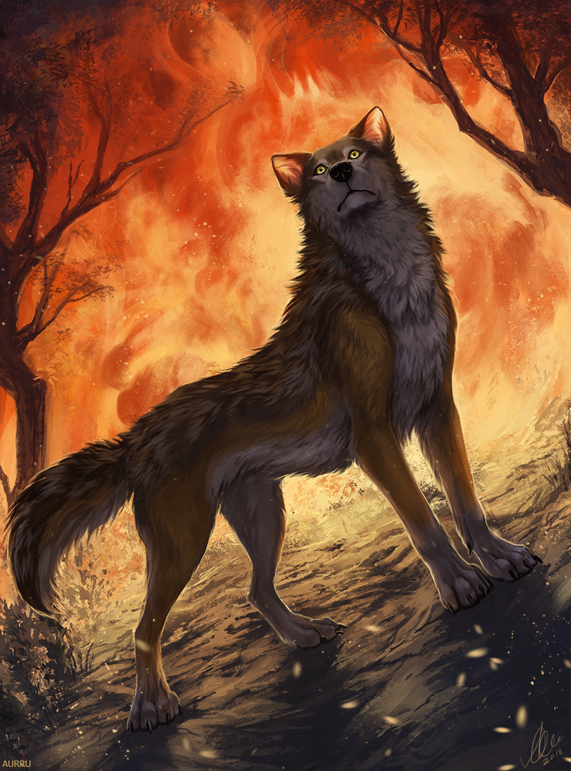 2018 4_toes aurru brown_fur canine digital_media_(artwork) feral fire forest fur mammal night outside paws solo standing toes tree white_fur wolf