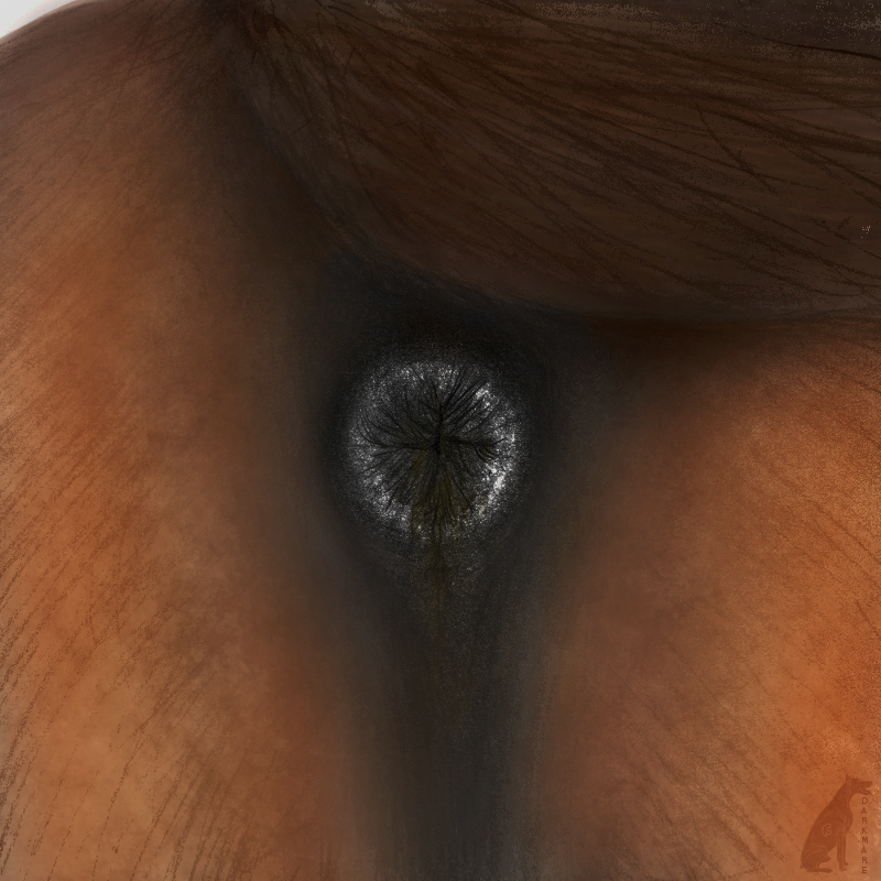 2019 ambiguous_gender anatomically_correct anatomically_correct_anus anus black_anus brown_fur butt close-up darkmare dirty equid equine equine_anus feces feral fur horse mammal puffy_anus solo