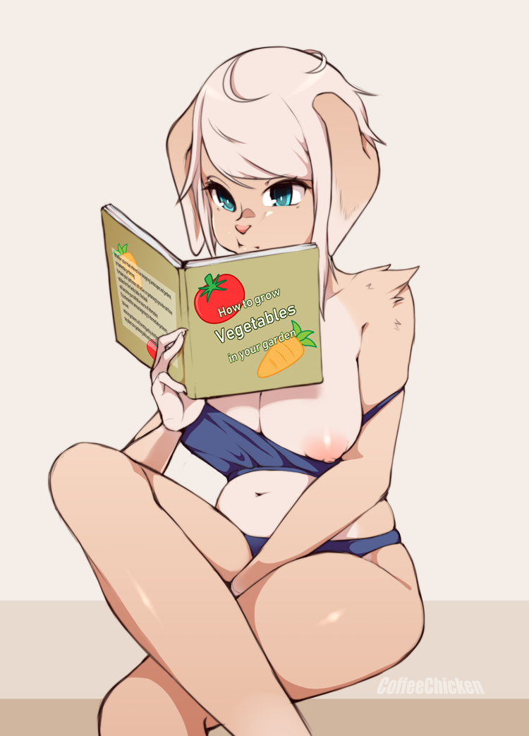 2019 anthro areola blonde_hair blue_eyes book breasts canid canine clothed clothing coffeechicken crossed_legs female hair holding_book holding_object mammal nipples one_breast_out reading solo vao