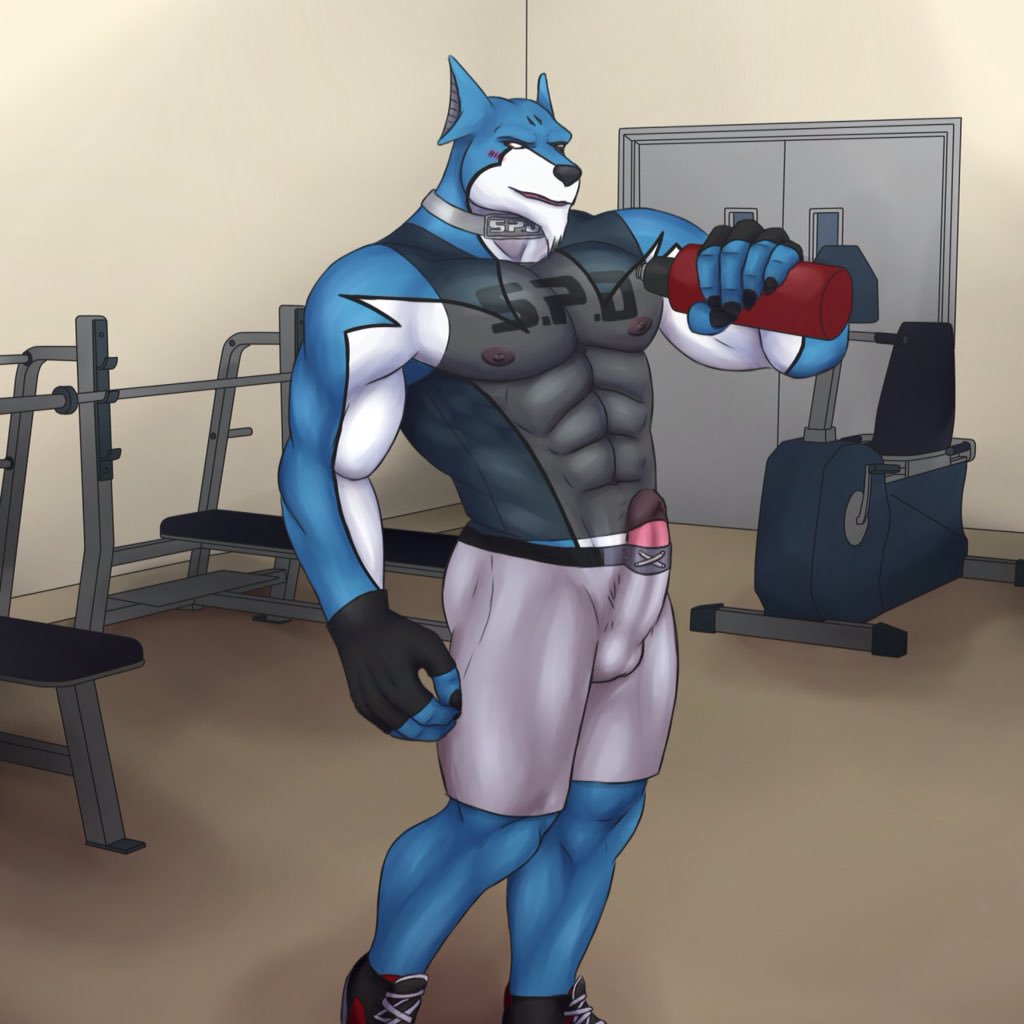 1:1 abs anthro balls blue_fur blush bulge canid canine canis clothed clothing collar doggie_kruger erection fur gym humanoid_penis male mammal multicolored_fur muscular muscular_male nipples pecs penis penis_outline power_rangers power_rangers_spd shirt smile solo standing tank_top tokusou_sentai_dekaranger topwear unknown_artist