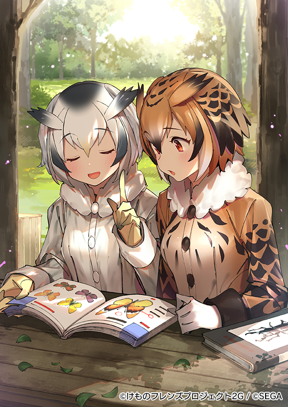 2girls bird_tail bird_wings blonde_hair brown_eyes brown_hair coat eurasian_eagle_owl_(kemono_friends) gloves grey_hair kemono_friends multicolored_hair multiple_girls northern_white-faced_owl_(kemono_friends) official_art upper_body white_gloves wings yellow_gloves