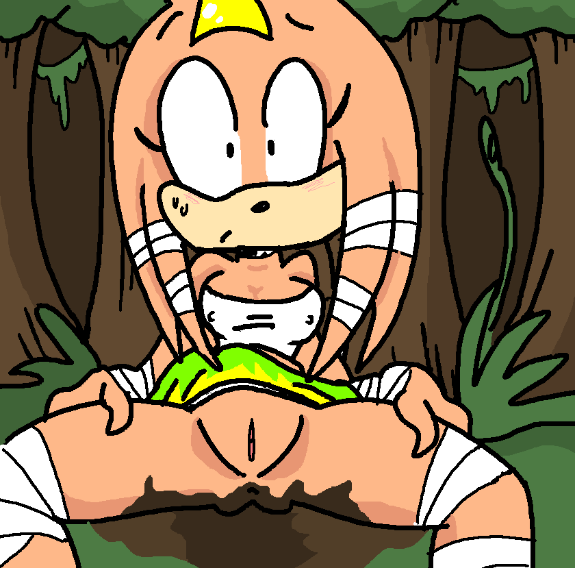 2008 anus blush female mud perverted_bunny pussy solo sonic_(series) sweat tikal_the_echidna
