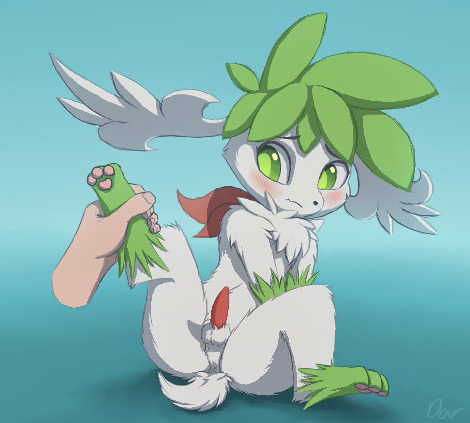 2019 anonymous_artist anus balls blue_background blush butt chest_tuft digital_media_(artwork) disembodied_hand duo feral fur green_eyes green_fur legendary_pok&eacute;mon male nintendo pawpads penis pok&eacute;mon pok&eacute;mon_(species) raised_leg shaymin shaymin_(sky_form) simple_background tagme tuft video_games white_fur