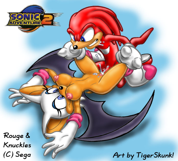 knuckles_the_echidna rouge_the_bat sonic_team tagme tiger_skunk