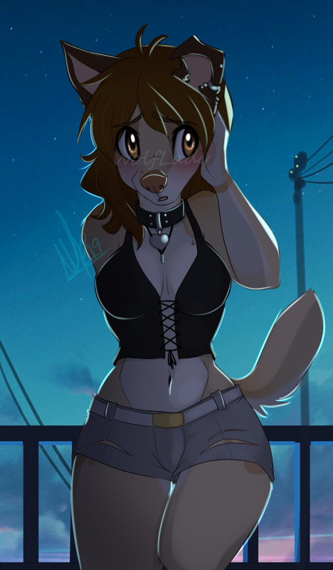 &lt;3 2019 anthro belt bottomwear breasts brown_eyes brown_hair canid canine canis clothed clothing collar cutoffs danika_(wolflady) denim denim_clothing denim_shorts digital_media_(artwork) domestic_dog female hair hand_on_head mammal midriff night open_mouth outside shorts signature sky solo standing star starry_sky wide_hips wolflady