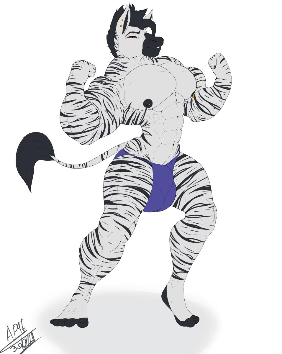 angrypotato96 anthro bulge clothing equid equine flexing hi_res male mammal muscular muscular_male nipple_piercing nipples pecs piercing sampson_(angrypotato96) solo standing underwear zebra