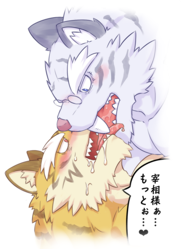 &lt;3 2017 anthro anthro_on_anthro bodily_fluids dialogue duo eyewear felid french_kissing glasses japanese_text kissing leucistic male male/male mammal muscular muscular_male pantherine saliva simple_background speech_bubble text tiger tongue tongue_out translation_request urakata5x white_background
